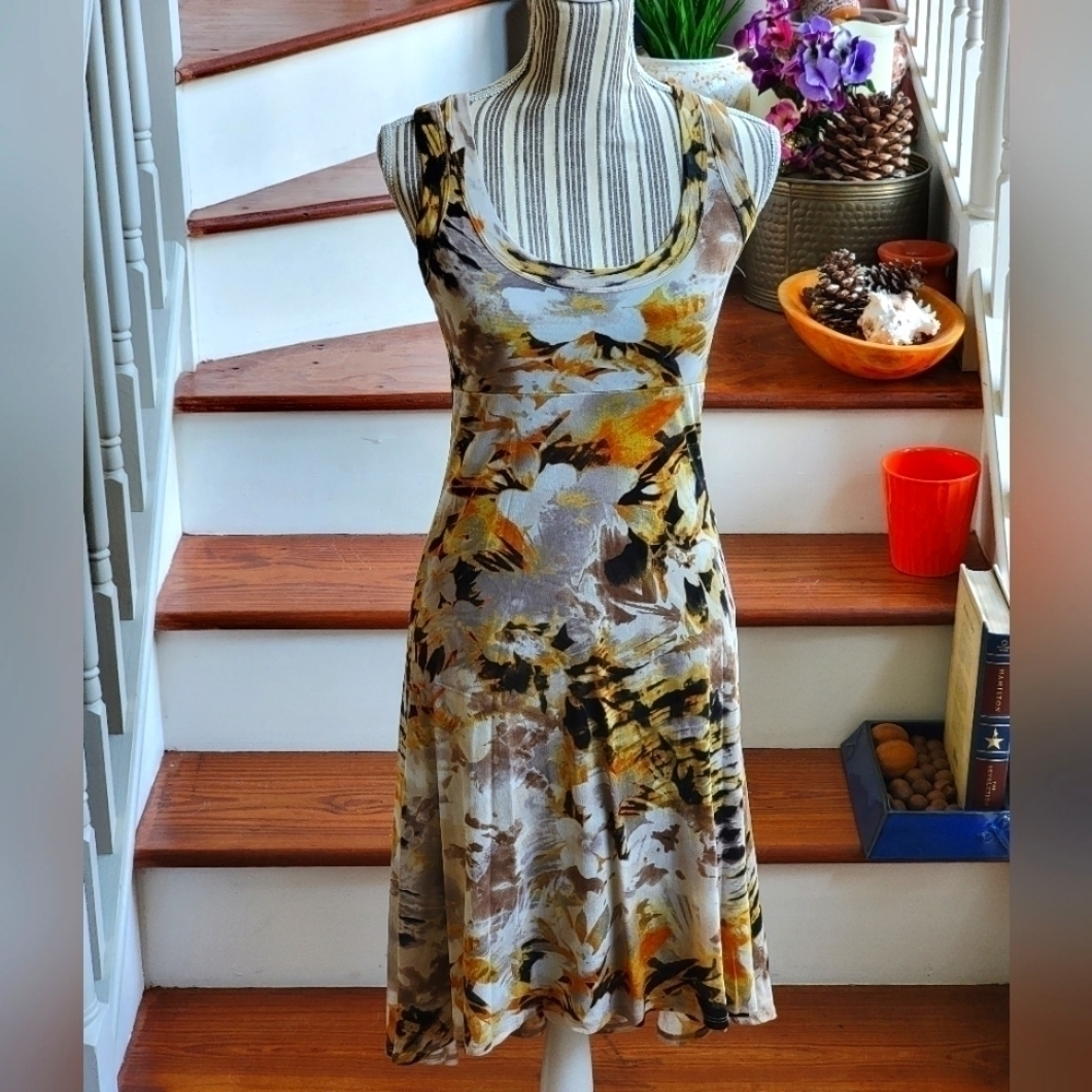 Karen Kane Women's Chiffon Dress XS